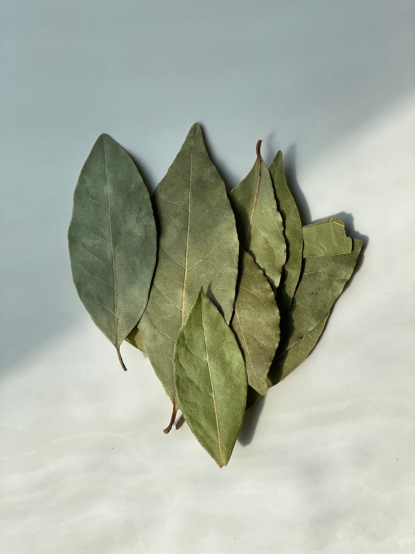 Bay Leaves